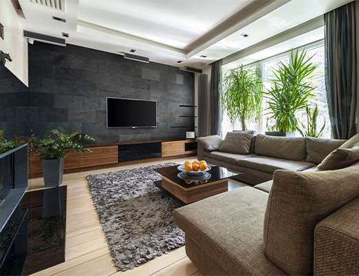 Living room with stone veneer from suppliers in India