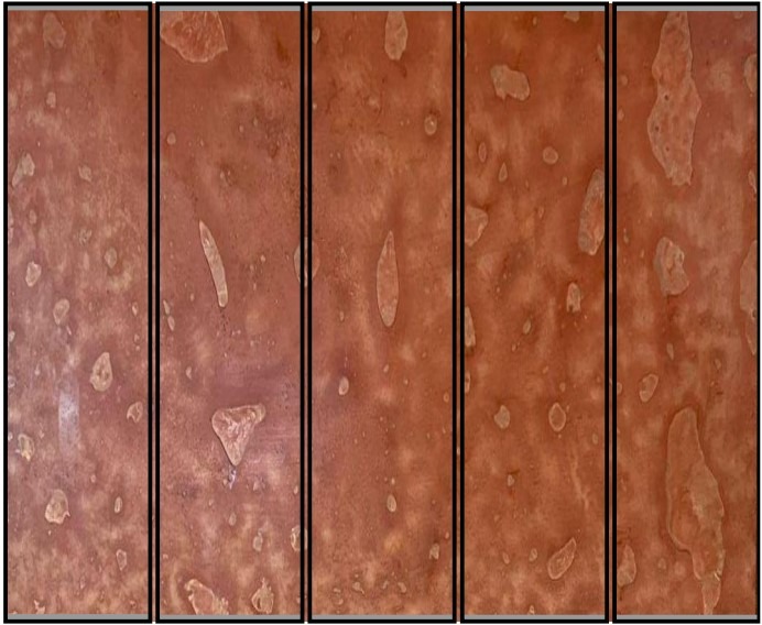 Copper metal Liquid by peel & stick wall tiles